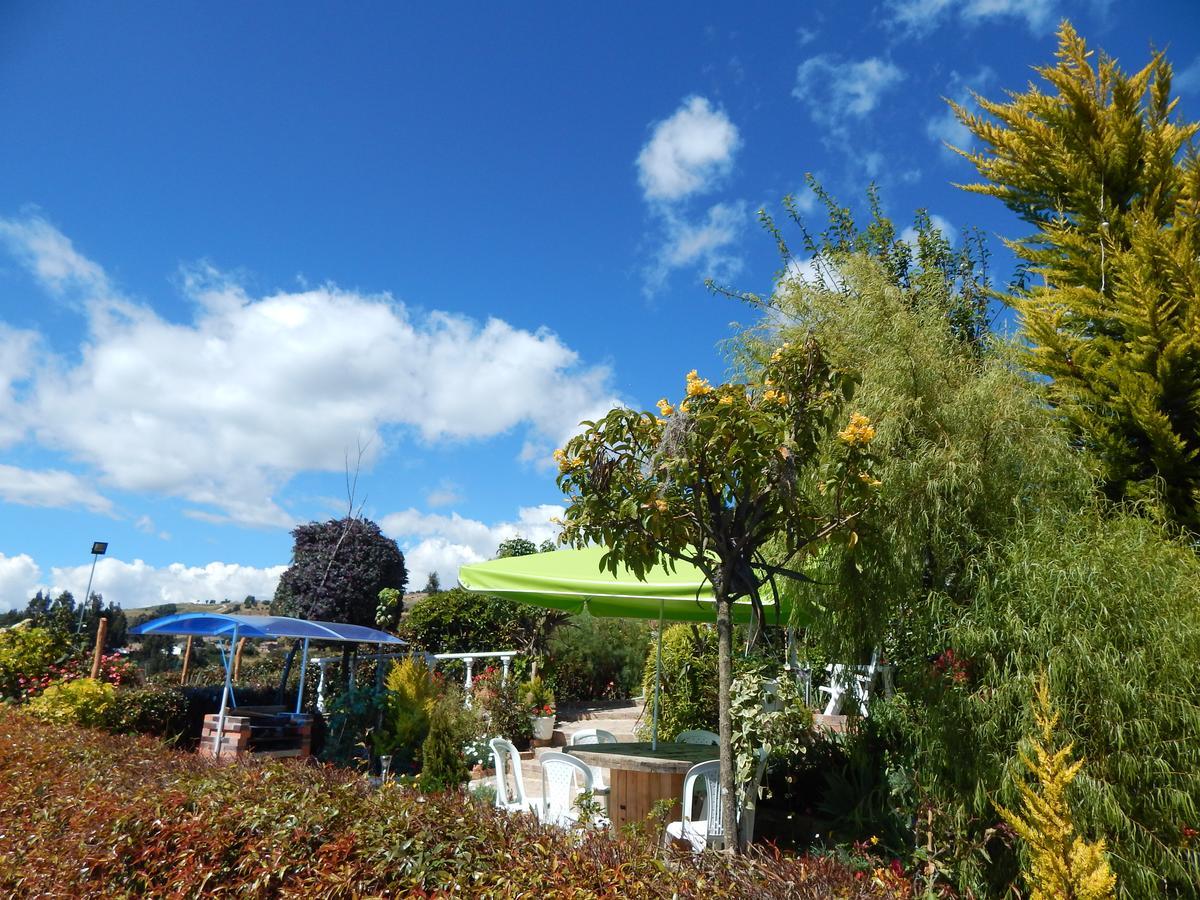 Evelia Lodge