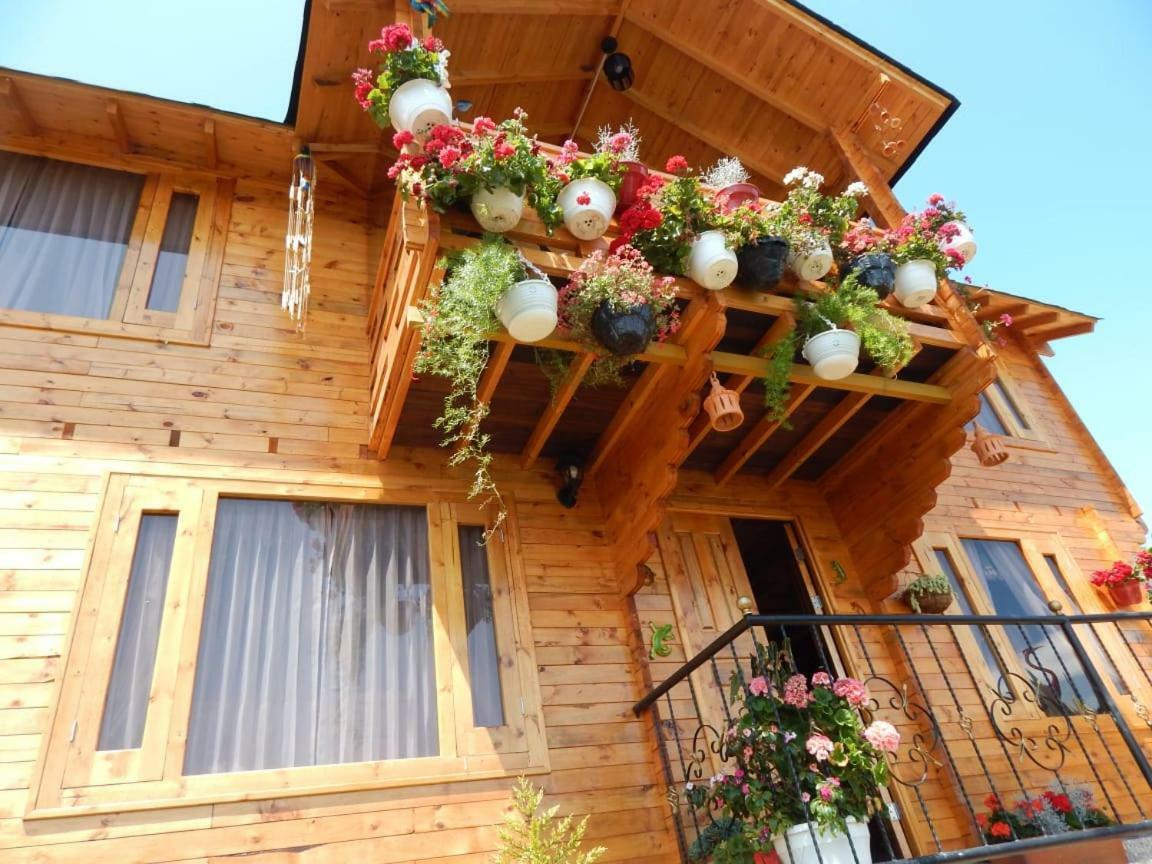 Evelia Lodge *