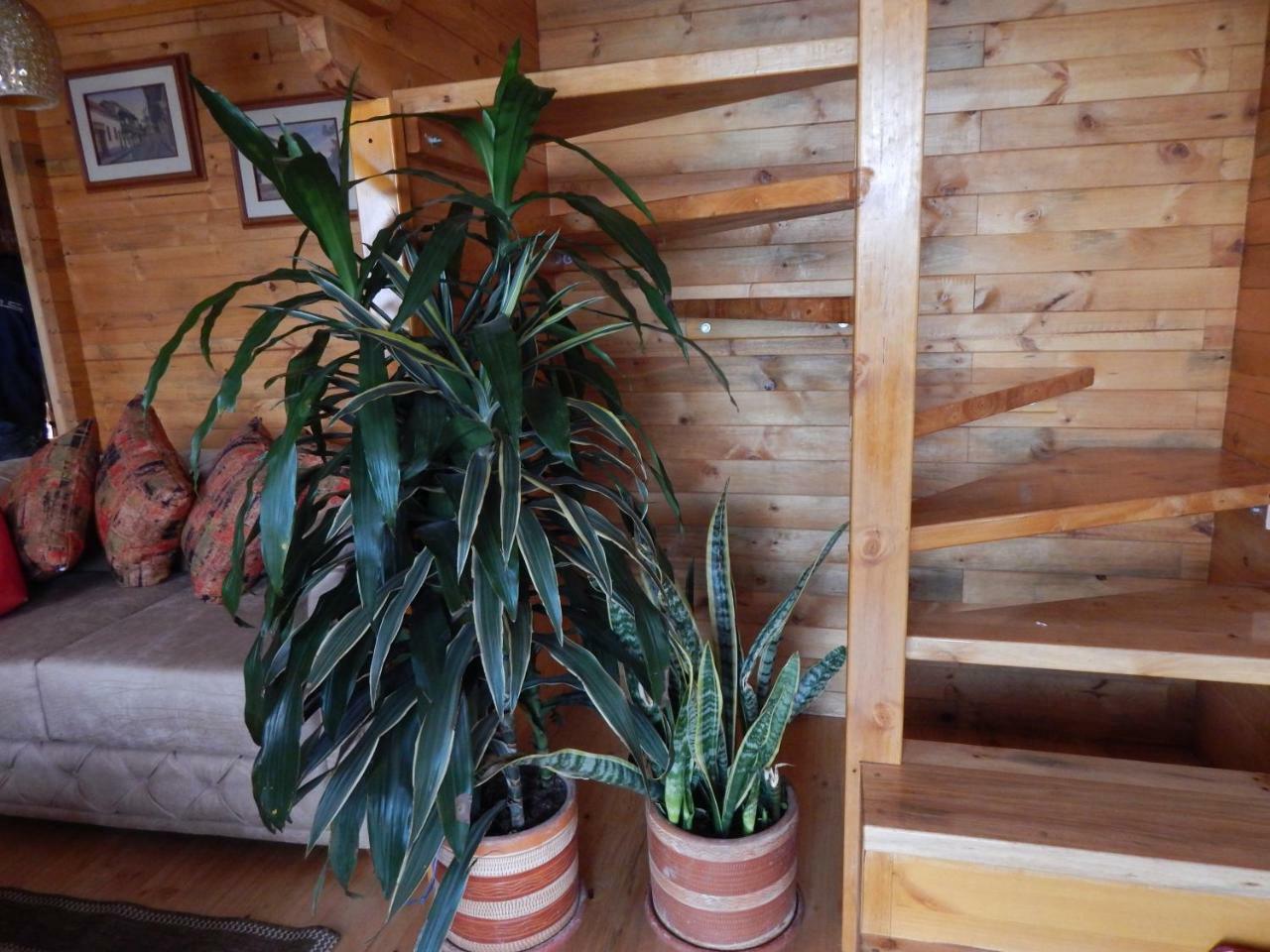 Evelia Lodge *